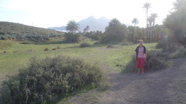 In plaats van langs dezelfde weg terug te keren volgenden we de blauw en witte streepjes. Helaas zijn de streepjeszetters niet altijd consequent en is het soms raden langs waar je moet verder gaan. Tip: probeer zoveel mogelijk links aan te houden. Deze wandeling brengt je door een wondermooi stukje natuur tot aan het grootste stand nabij Isleta De Moro. 