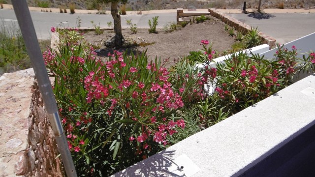 casa-algarrobina-019